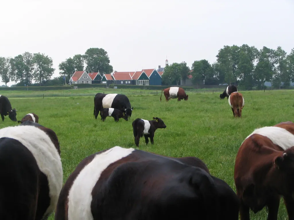 Schokland