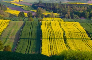 Krzczonów Landscape Park