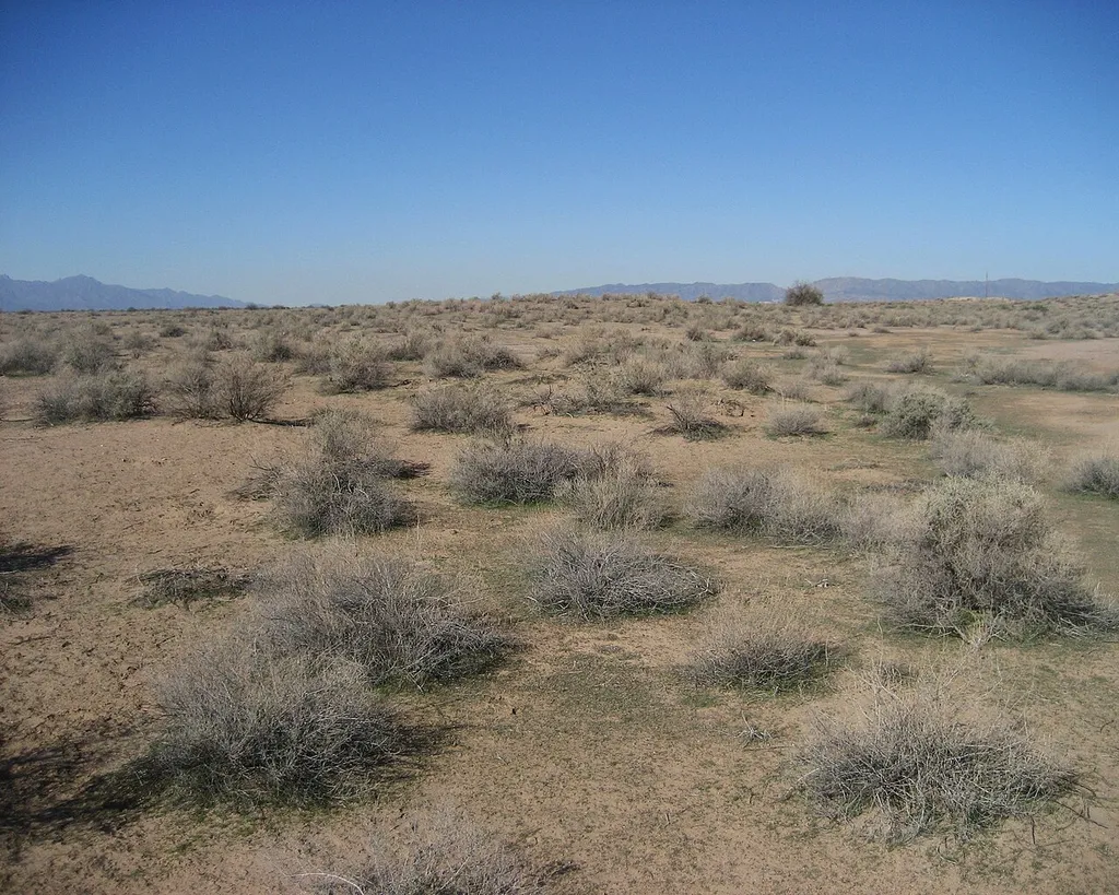 Hohokam Pima National Monument