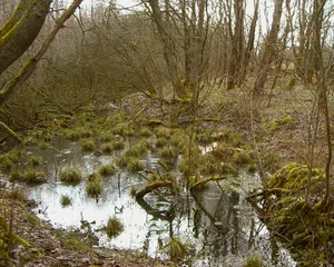 Dudenrother Schanze