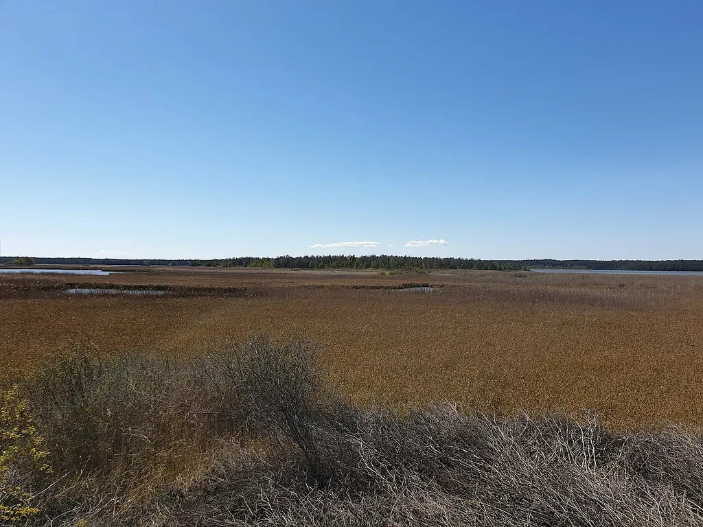 Fardume lake