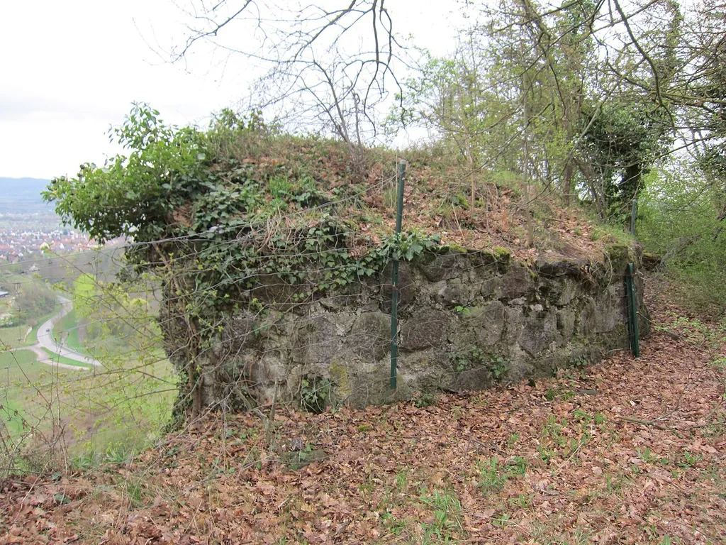 Alte Limburg