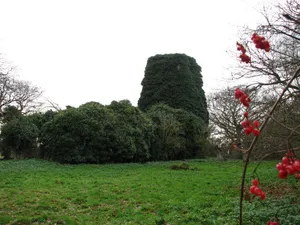 Remains of Church of St Edmunds