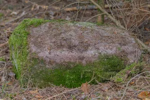 Grenzstein Fürther Stadtwald in Fürth