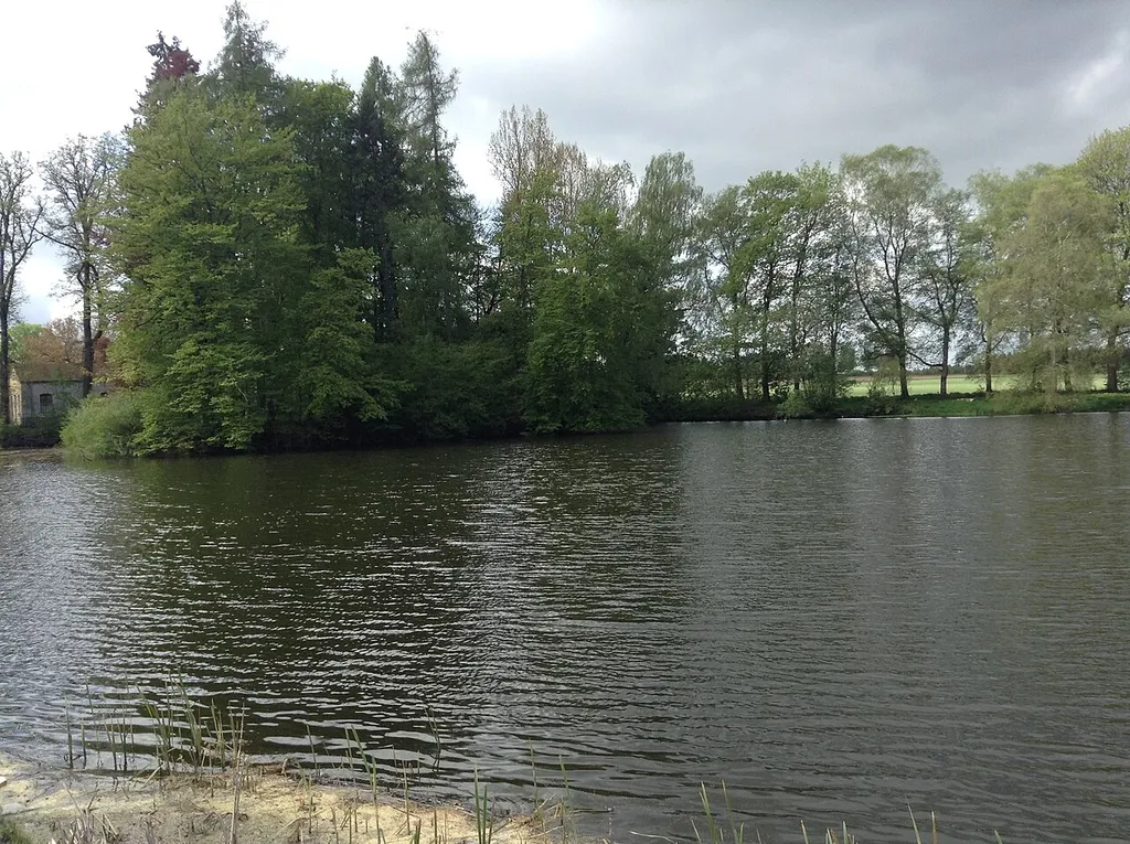 Der Burgstall von Schönficht im aktuellen Zustand (2015). Der ehemalige Burggraben wurde in nordöstlicher Richtung zum Teich erweitert, auf der Gegenseite ist der Graben noch erhalten, der Burgstall liegt damit auf einer Insel.