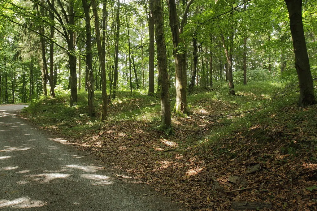 Burgstall Wallenrode - Mehrfach gestaffeltes Wall-Graben-System zwischen erster und zweiter Vorburg (Juni 2013)