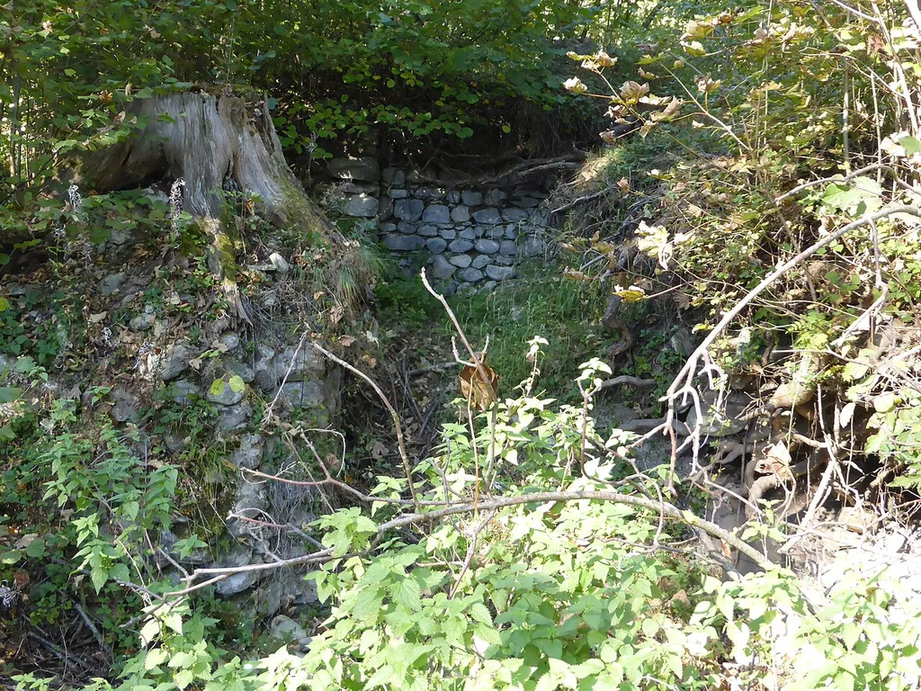 Burgstall Plankenau