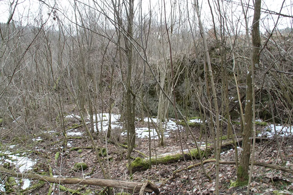 Burgstall Kleinziegenfeld