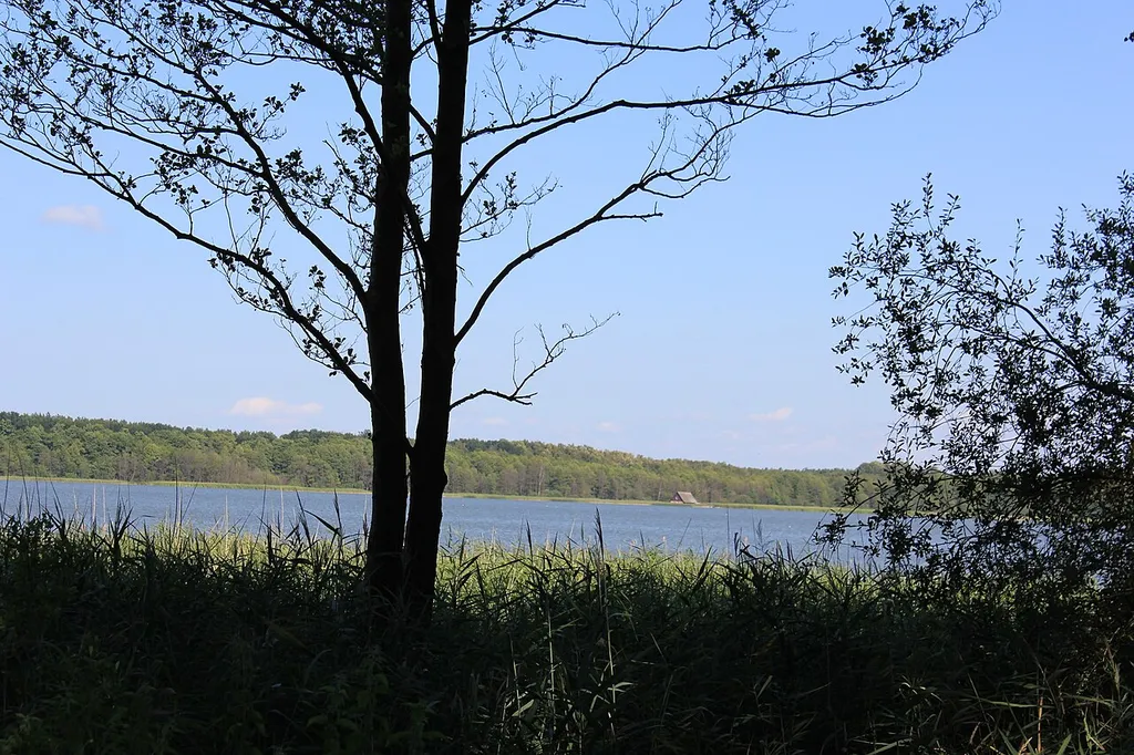 Damerower See