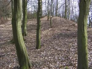 Wallburg auf dem Luftenberg