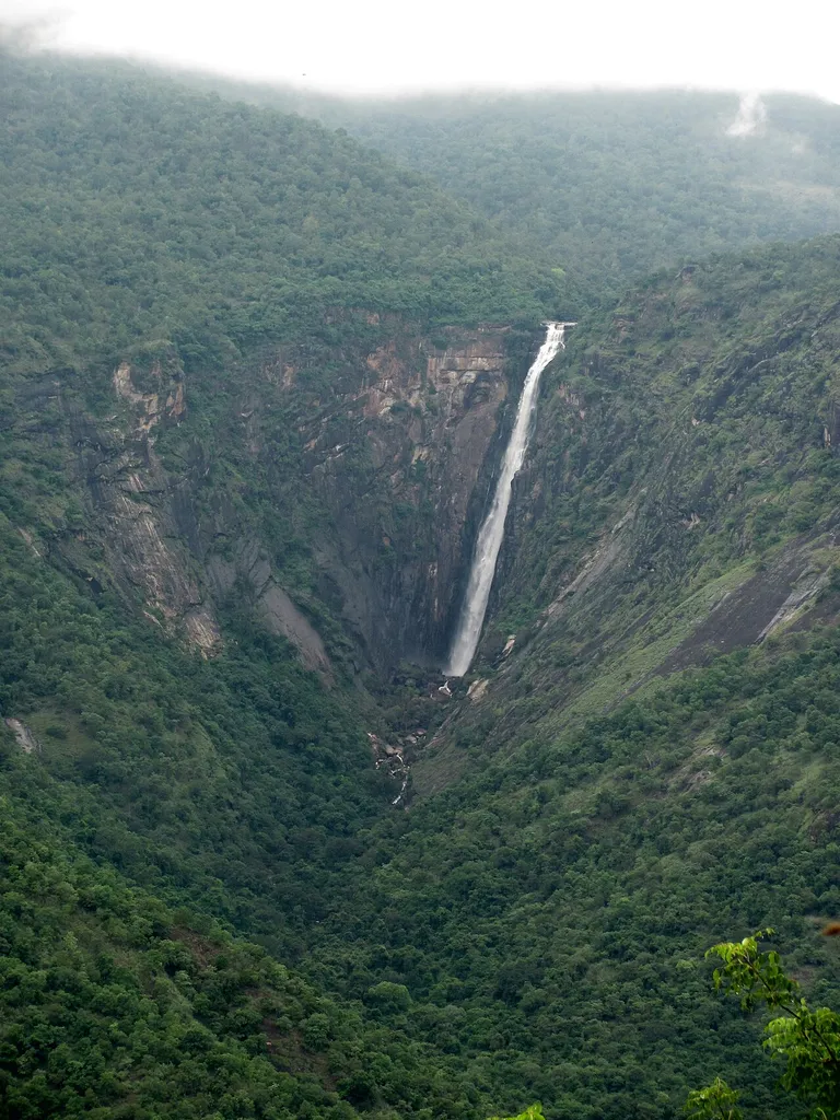 "Rattail Falls" (Thaliyar Falls) is clearly visible from the Madurai Ghat Road going up to Kodaikanal, Palni Mountains, an outshoot of the Western Ghats. It is possible to hike to the top of the Falls, starting from Mooliyar, but a guide would be recommended for the first time. About a 6 or 7 hour hike there and back or down to the dam on the plains.