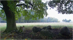 Großsteingräber bei Mehmke
