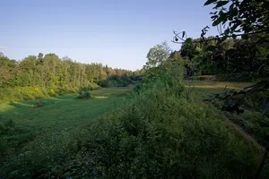 Krähenhäule