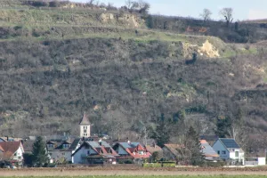 Niederrimsingen