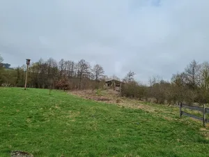 Naturschutzgebiet Auf dem Tiergarten bei Frankenberg
