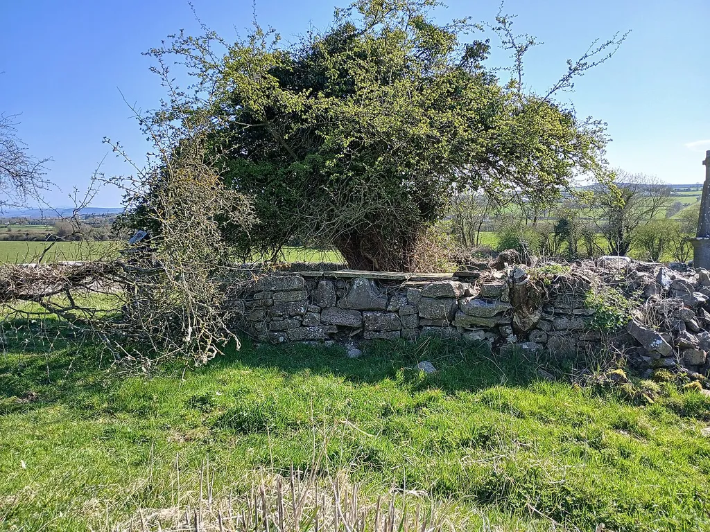 Coolcashin church ruin and graveyard with two architectural fragments built into it.
