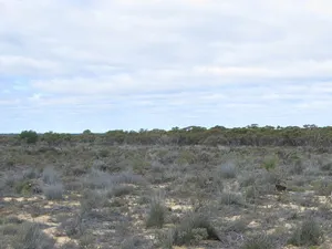Boorabbin National Park