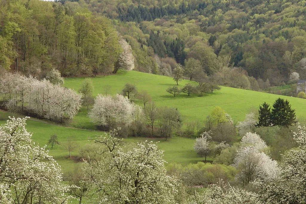 LSG innerhalb des Naturparks Spessart (ehemals Schutzzone)