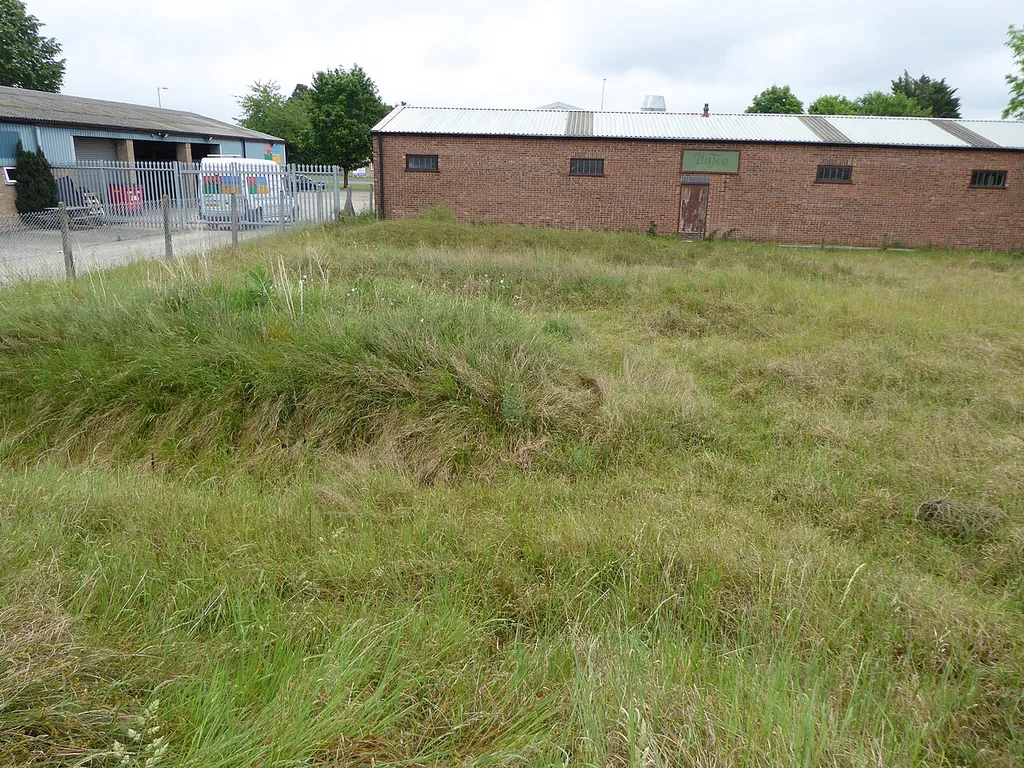 A very small meadow in London Road Industrial Estate in Brandon in Suffolk is a biological Site of Special Scientific Interest.