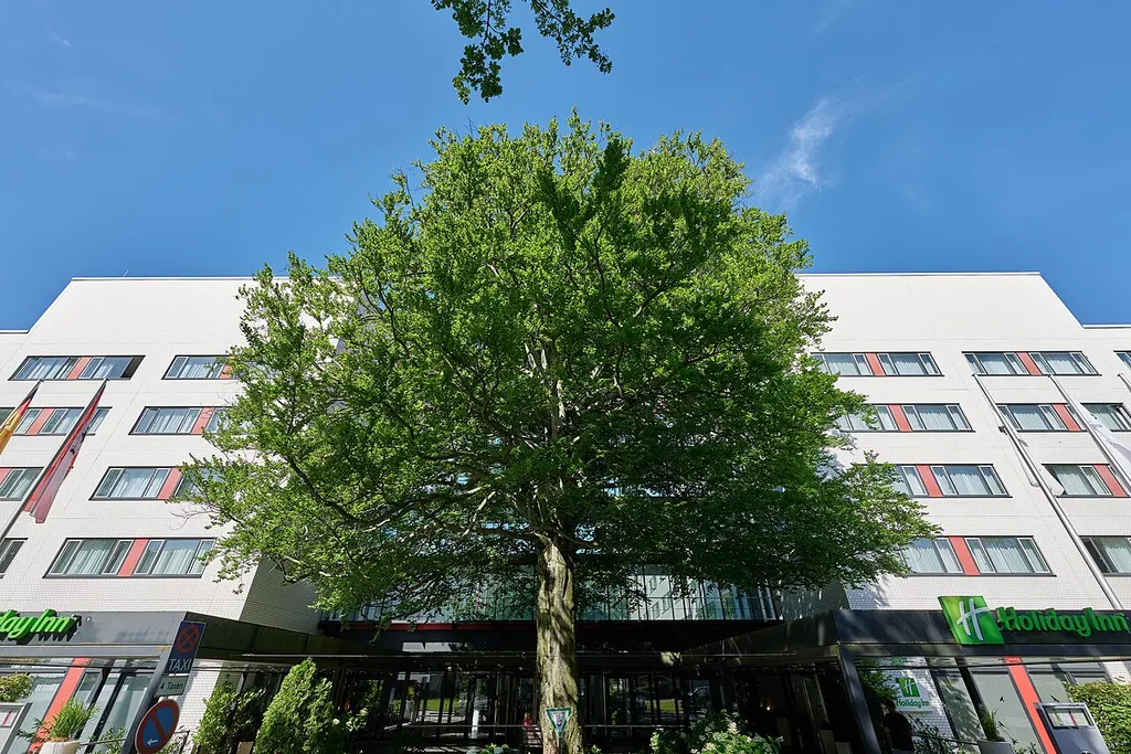 Rot-Buche Rohrdamm Airport-Hotel