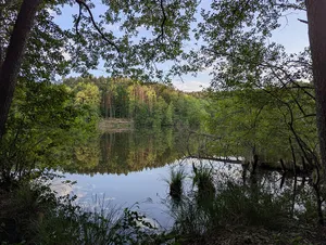 Großer Schinkensee