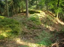 Burgstall Waldburg (Oberösterreich)