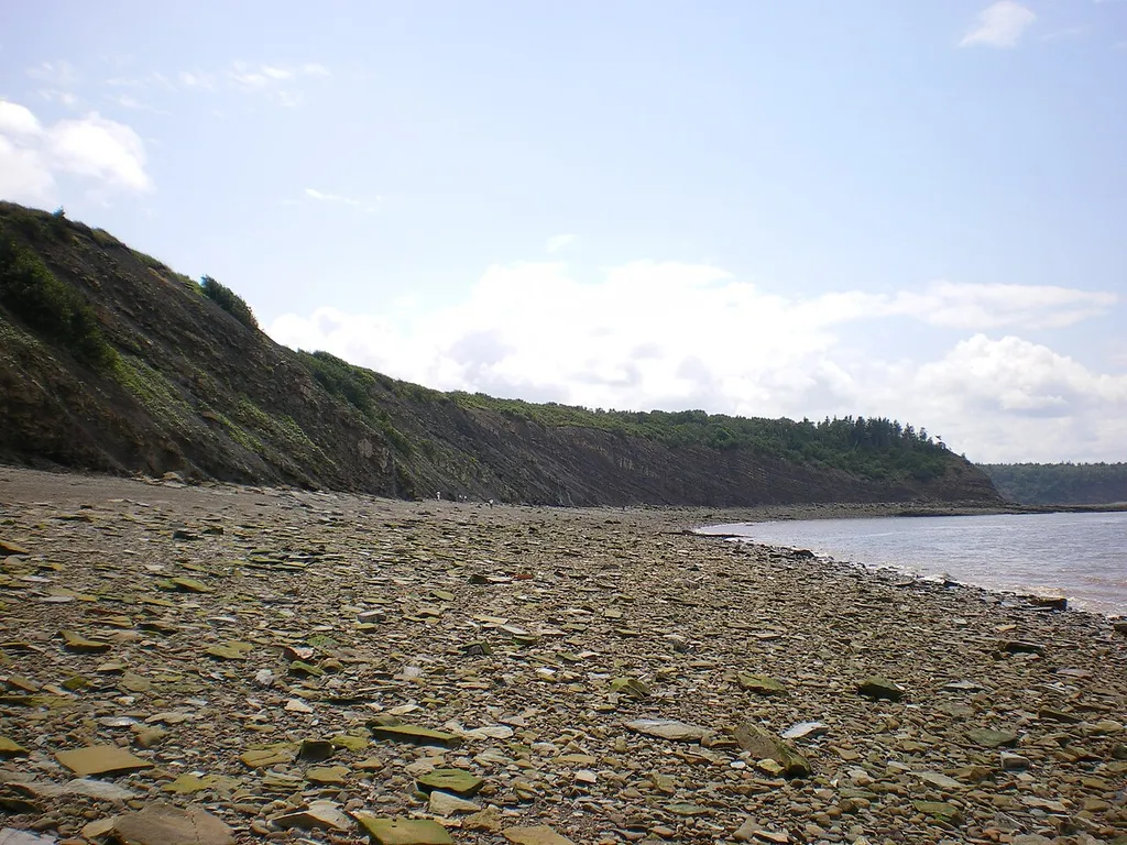 Joggins Fossil Cliffs