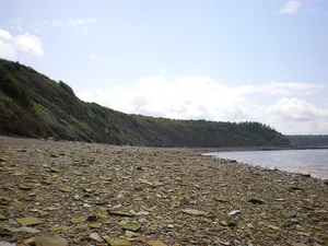 Joggins Fossil Cliffs