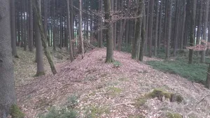 Brennburg