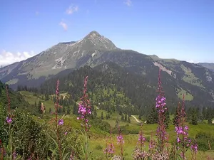 Mont de Grange