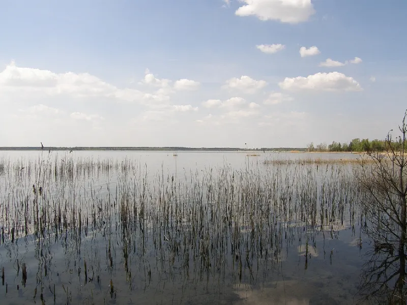 Gräbendorfer See
