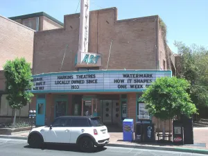 Valley Art Theatre