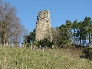 Grimmenstein Castle Ruin