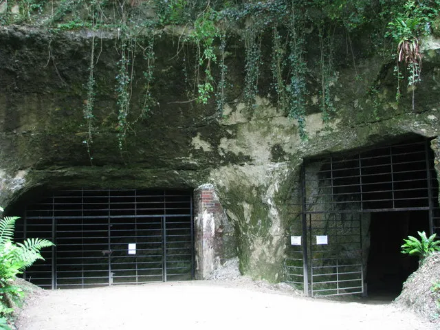 Access to Beer caves