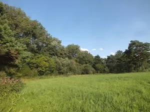 Schwarzhölzl