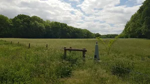 Belgium-Netherlands boundary stone no. 54
