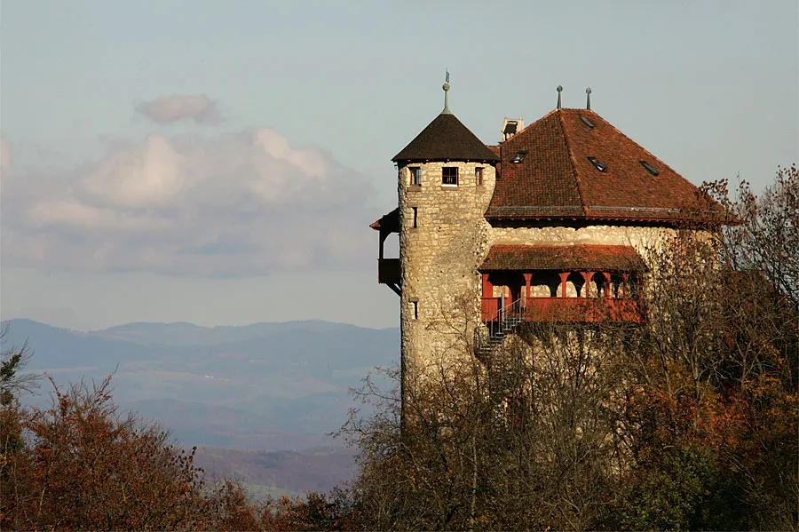 Burg Rotberg bei Metzerlen