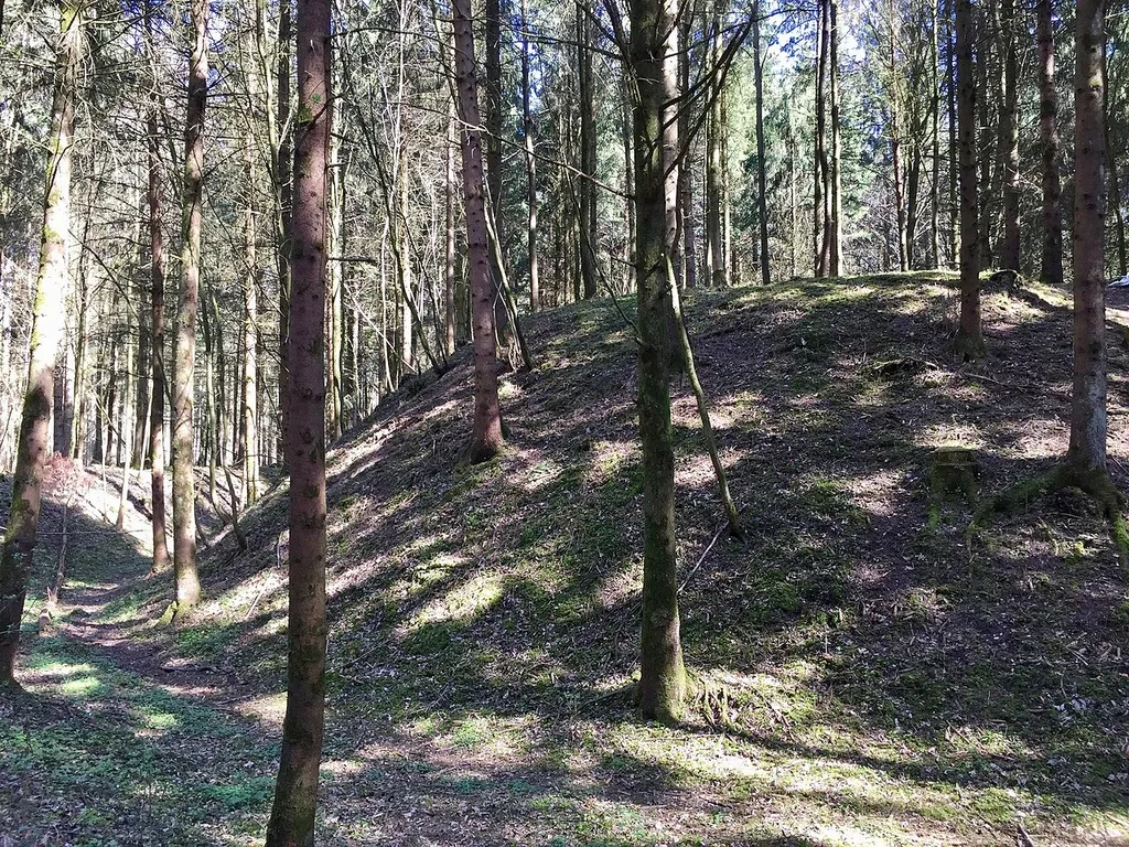 Wasenberg Mitterkirchen 2018