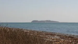 Hjelm