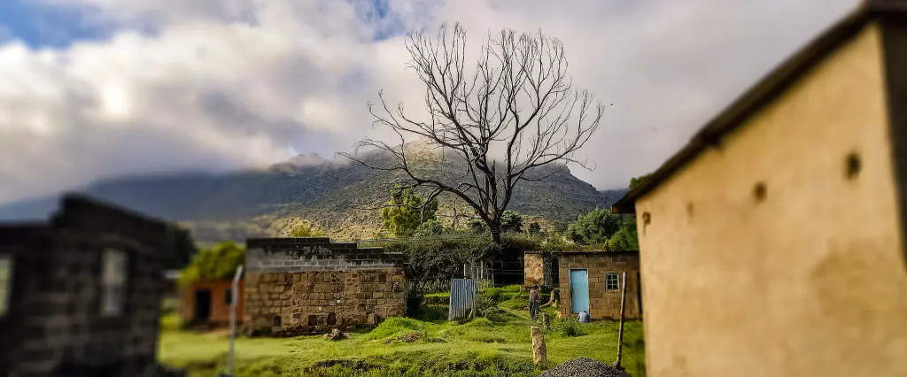 Morija