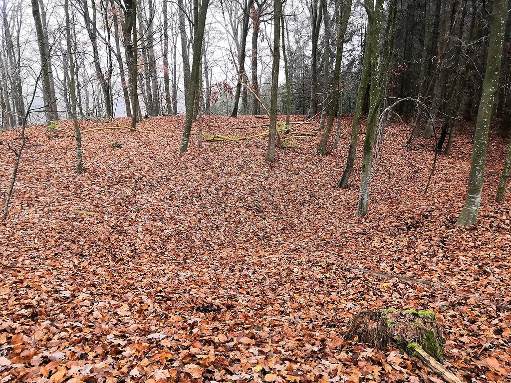 Burgstall Buschstellinger