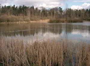 Swabian-Franconian Forest Nature Park