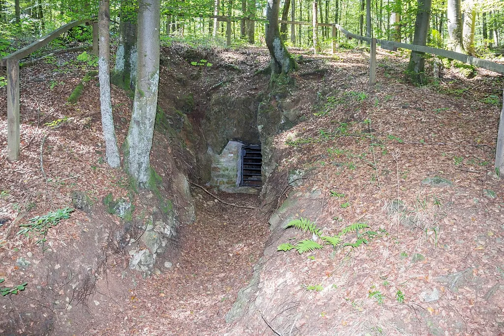 Fledermauswinterquartiere in der südlichen Frankenalb