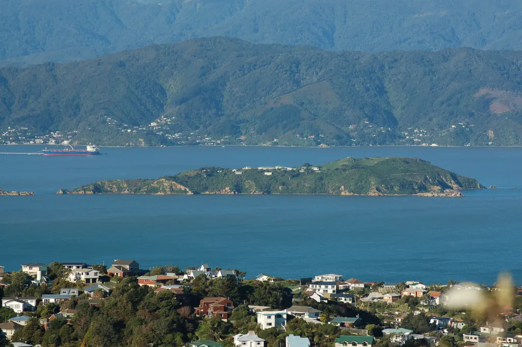 Matiu / Somes Island