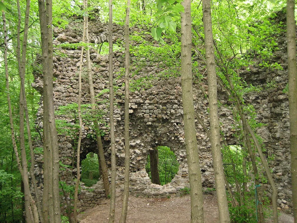 de:Ruine Niederwindegg: Das Innere der Schildmauer gegen Nordosten