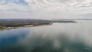 Shag Harbour