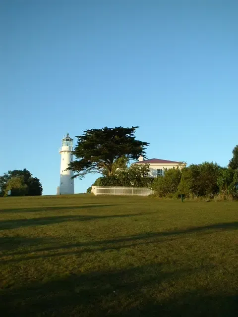 Tiritiri Matangi Island