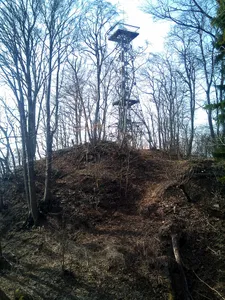 Ruine Randenburg