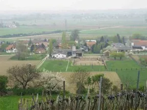 Zöfing