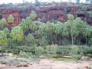 Finke Gorge National Park
